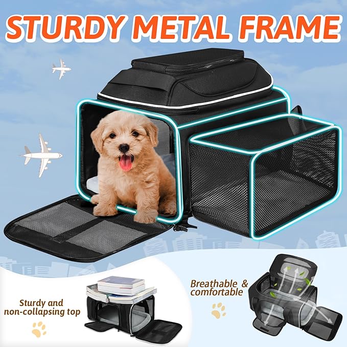 Petskd Top and Side Expandable Pet Carrier 17x12x8.5 Inches JetBlue Frontier Spirit Airline Approved, Soft-Sided Carrier for Small Cats and Dogs with Locking Safety Zipper and Anti-Scratch Mesh(Black)