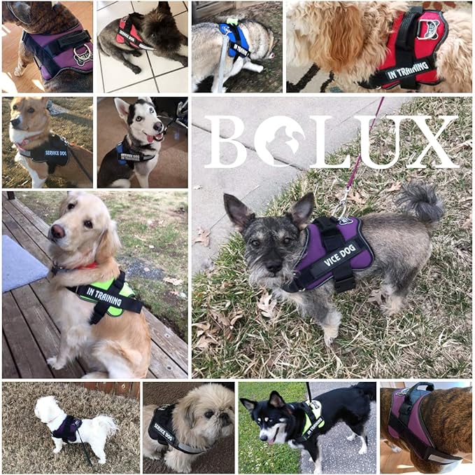Bolux Dog Harness, No-Pull Reflective Dog Vest, Breathable Adjustable Pet Harness with Handle for Outdoor Walking - No More Pulling, Tugging or Choking (Army Yellow, L)