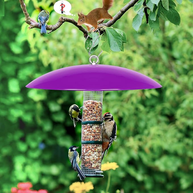 13" Bird Feeder Rain Cover,Bird House Dome,Hummingbird Feeder Guard,Proof for Shepherd's Hook Outdoors, (Purple), 1Pack