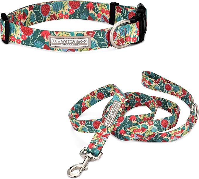 Lucky Love Dog - Easy Click Buckle Dog Collar with Leash Set Combo, Durable & Comfortable for Male & Female Dogs, Pet Collar for Small to Large Dogs, Secure Fit - Ginny Combo, Medium