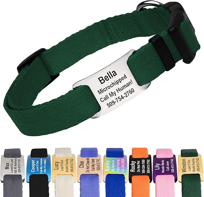 GoTags Personalized Dog Collar with Nameplate, Adjustable Dog Collar with Custom Engraved Slide On Pet ID Tag in Stainless Steel, Silent, No Noise Dog Tag (Hunter Green, Small)