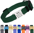 GoTags Personalized Dog Collar with Nameplate, Adjustable Dog Collar with Custom Engraved Slide On Pet ID Tag in Stainless Steel, Silent, No Noise Dog Tag (Hunter Green, Small)