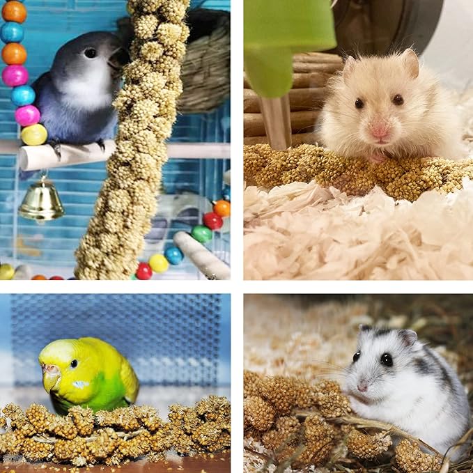 Jmxu's Spray Millet Treat for Birds Parakeets, Natural Sun-Dried Birds Millet for Cockatiel, Budgie, Finches, Parrots, Hamster