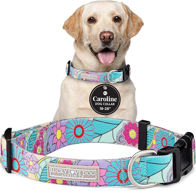 Lucky Love Dog - Adjustable Dog Collar with Easy Click Buckle for Small to Large Ones, Durable, & Comfortable for Male & Female Dogs, Pet Collar for Puppies & Adult Dogs - Caroline, XL