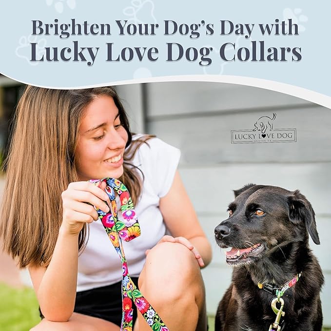 Lucky Love Dog - Adjustable Dog Collar with Easy Click Buckle for Small to Large Ones, Durable, & Comfortable for Male & Female Dogs, Pet Collar for Puppies & Adult Dogs - Blackbird, Extra Large