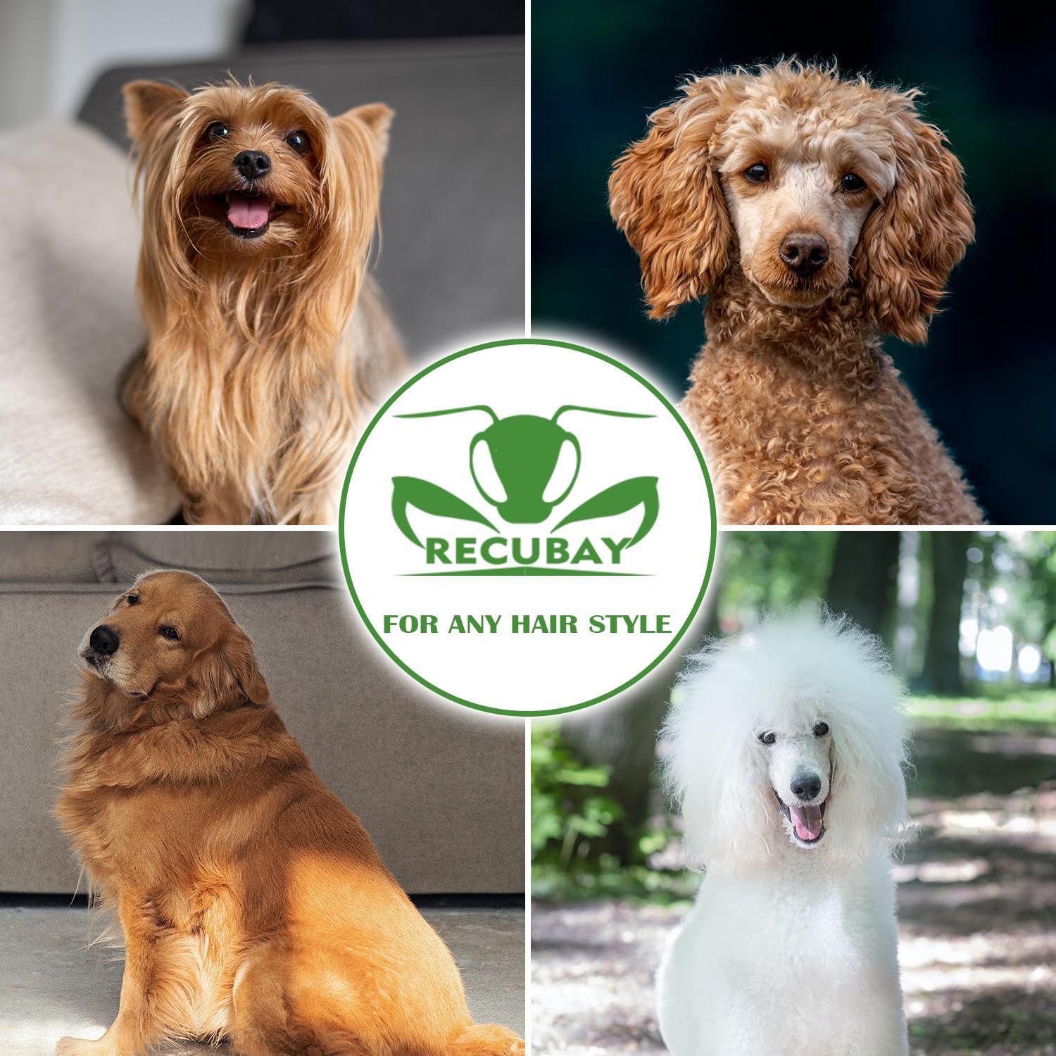 Left Handed Matte Deluxe Dog Grooming Scissors Great Grooming Shears for All Breeds,Design For Professional Groomer. (7.5" Straight Lefty)