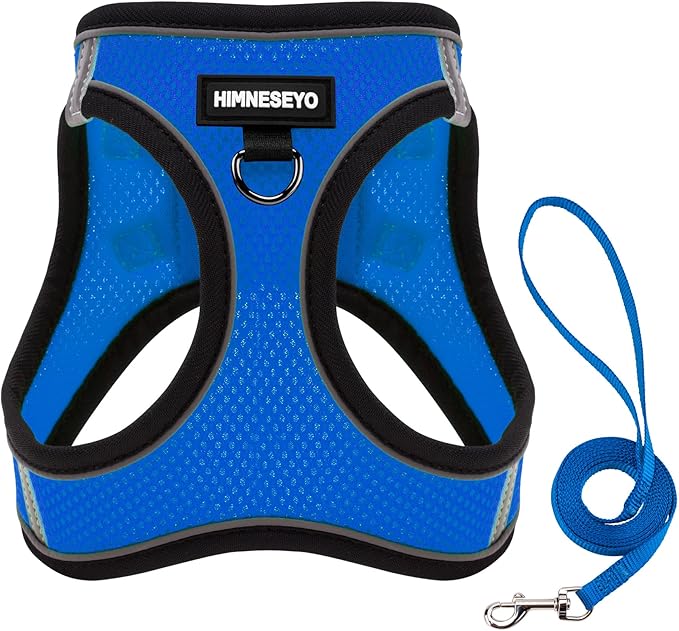 Dog Harness and Leash Set, Dog Harness for Dogs No Pull, No-Chock Step-in Reflective Breathable Lightweight Easy Walk Vest Harnesses with Safety Buckle for Small Medium Dogs, Cats (Blue, S)