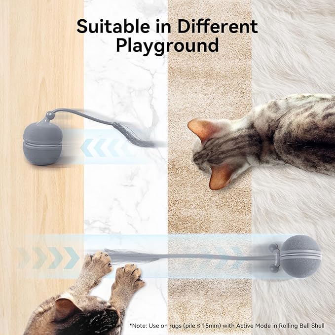 Cheerble 2 in 1 Interactive Cat Toys for Indoor Cats - Wicked Ball Duo2 Automatic Cat Toy, Dual Interchangeable Shells, Electric Cat Toy Ball with Chirping Sounds,Rechargeable Moving Kitten Toys, Blue