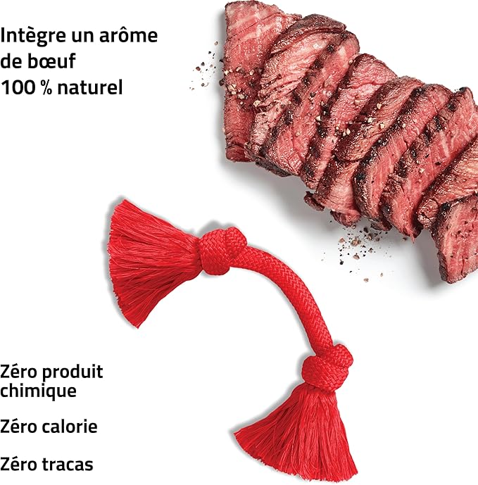 Playology Dog Toys | Dri-Tech Rope Toy Tug of War Rope for Aggressive Chewers | Medium Beef Scented Toy - Easy to Clean and Made from Non Toxic Materials