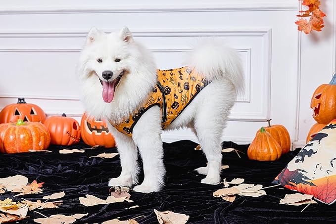 Aiboria Dog Jackets Windproof Outfit Coat Dog Vest Harness Puppy Warm Jacket Halloween Orange XL