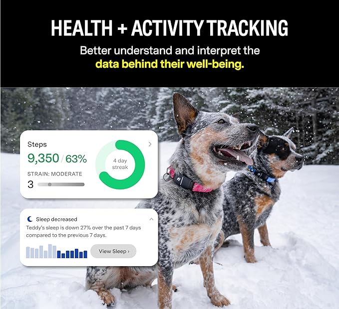 Fi Series 3 Smart Dog Collar - GPS Dog Tracker and Activity & Fitness Monitor, Waterproof, LED Light, Escape Alerts, Nationwide Coverage [Free 1 Year Membership] (Gray, Medium)