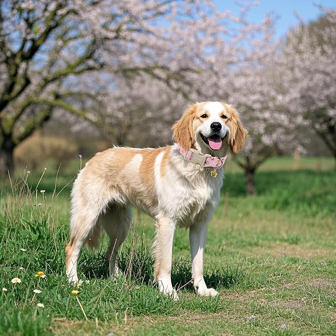 ARING PET Summer Dog Collar, Cute Pink Bee Daisy Floral Pet Collars with Quick Release Buckle for Puppy Small Medium Large Boy Girl Dogs-S