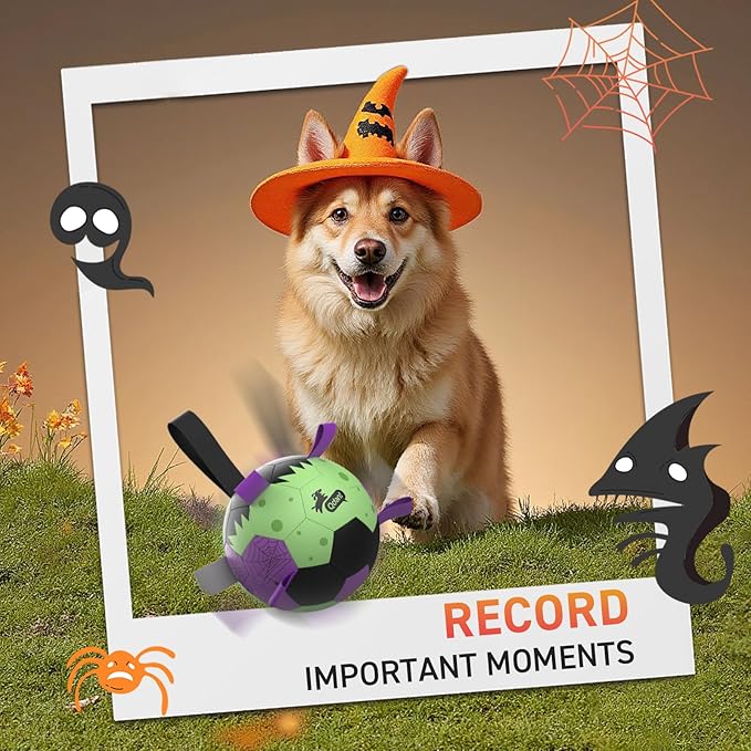 QDAN Dog Toys Ball: Dog Soccer Balls with Straps- Outdoor Herding Balls Toys for Small Medium Dogs- Christmas Puppy Pet Birthday Gifts- 6 Inch Purple Green