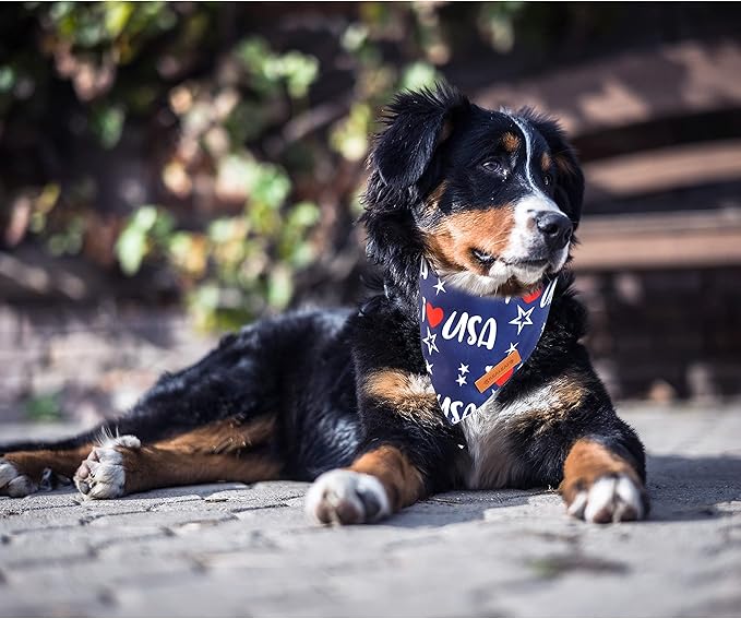 Realeaf 4th of July Dog Bandanas 2 Pack, Triangle Reversible American Flag Pet Patriotic Scarf for Boy and Girl, Premium Durable Fabric, USA Bandana for Small and Medium Dogs (Small)