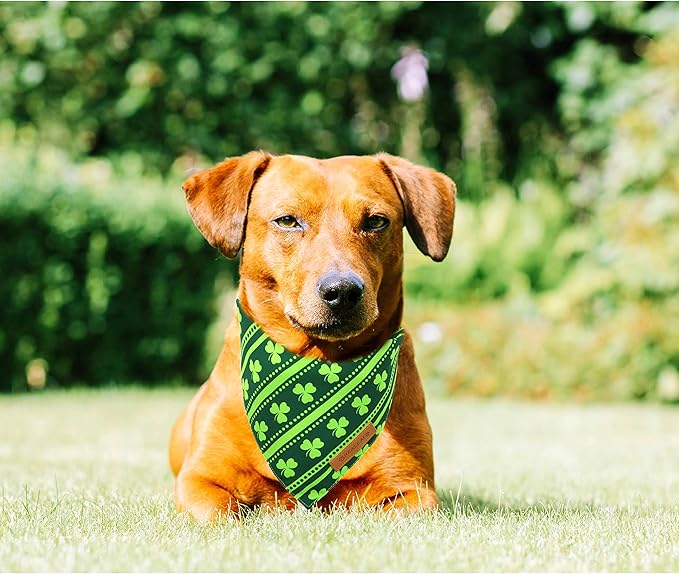 Realeaf St. Patrick's Day Dog Bandanas 2 Pack, Reversible Green Shamrock Pet Scarf for Boy and Girl, Premium Durable Fabric, Holiday Bandana for Small Medium Large and Extra Large Dogs (Large)