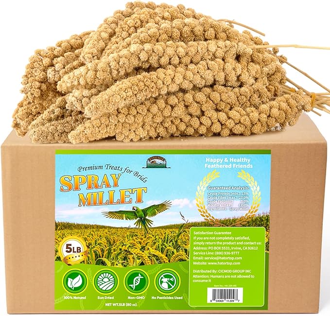 Spray Millet for Birds 5LB - All Natural Sun-Dried Healthy Treat, Millet Spray for Parakeets, Parrots, Lovebirds, Cockatiels Food, 100% Non-GMO High Protein Fresh Bird Seed