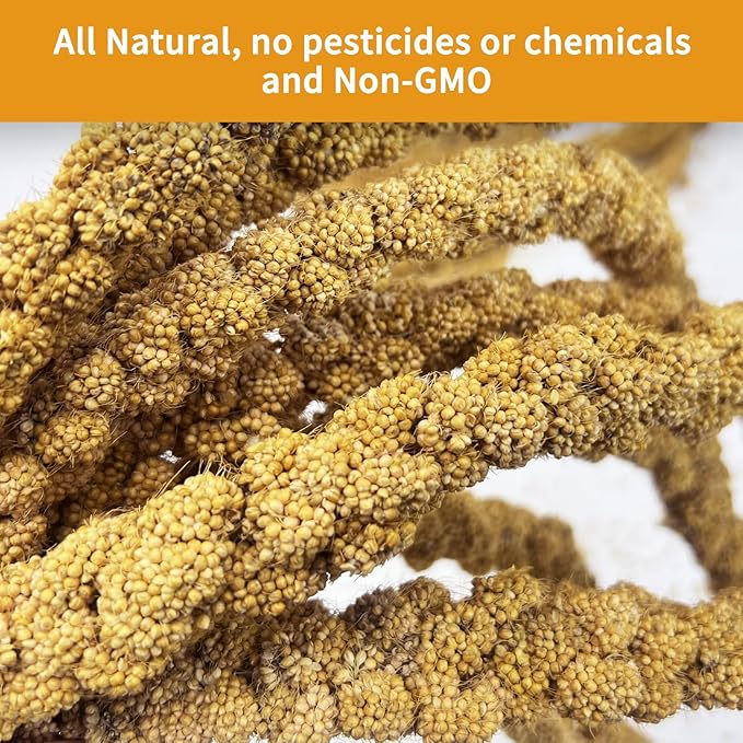 kathson Natural Sun-Dried Birds Millet Spray Millet Treat bird snacks for Parrots Cockatiels Lovebirds Painted Buntings and Finches Parakeets 1.1 LB