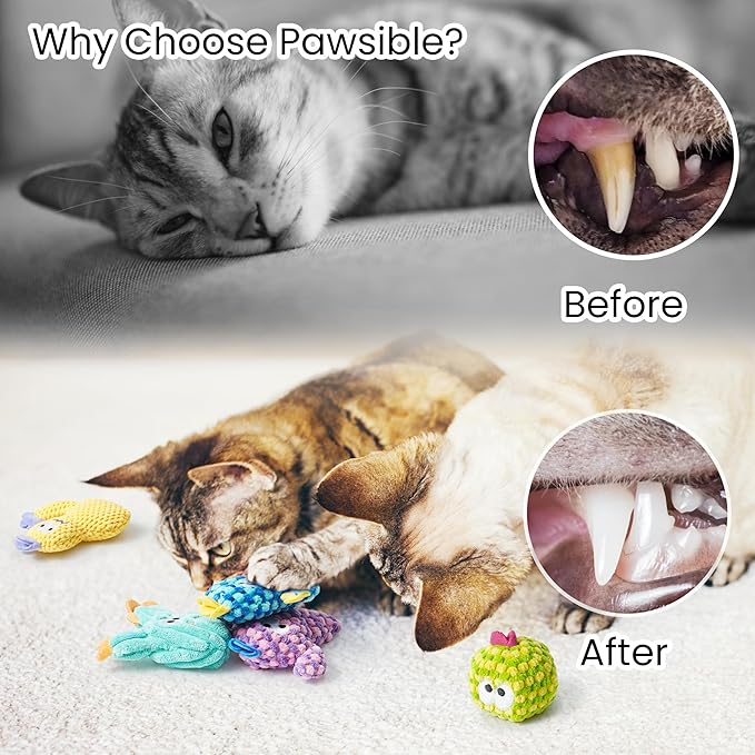 5 Pack Cactus Catnip Toys, 100% Organic Catnip Toys for Indoor Cats, Interactive Plush Chew Fun Without Cotton, Teething Soft Kittens Toys for Kitty, Colorful