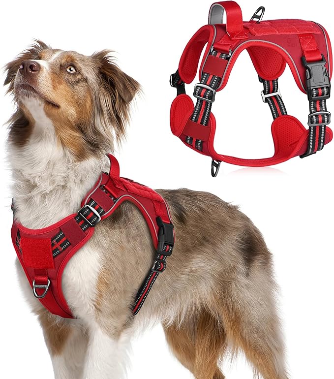 rabbitgoo Tactical Dog Harness Medium Sized Dog, No Pull Military Service Vest with Handle & Molle, Easy Control for Training Walking, Adjustable Reflective Straps, Red, M