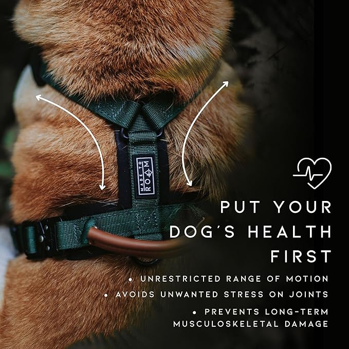 MADE TO ROAM Premium Explorer Harness - Y-Shaped Dog Harness with Adjustable Durable Nylon, Soft Padding, Metal Buckles and Leather Handle for Small, Medium, Large Dogs (Michigan Autumn, Size 1)