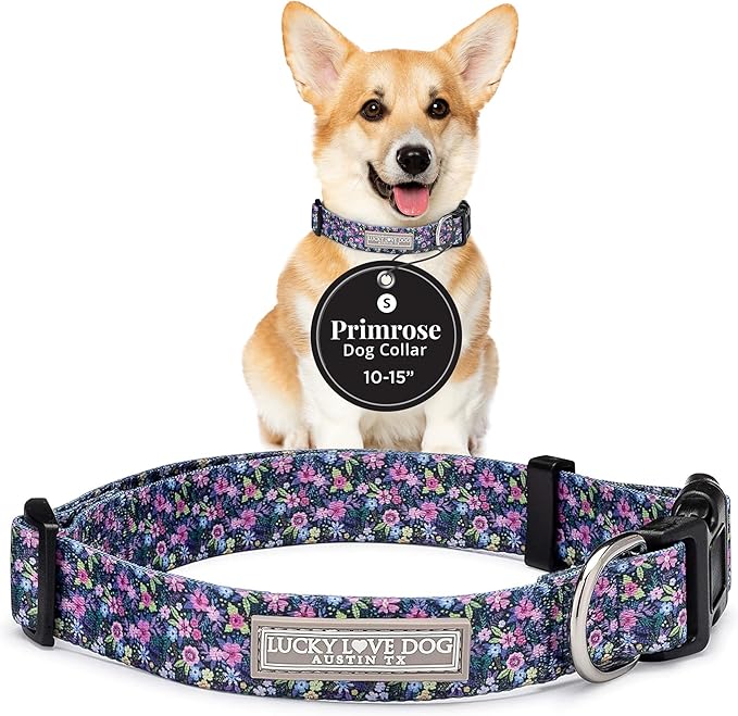 Lucky Love Dog, Comfortable, Soft, Cute Female Dog Collar for Small Dogs, Black & Purple Floral Print, Adjustable Nylon Collar, Primrose, Small