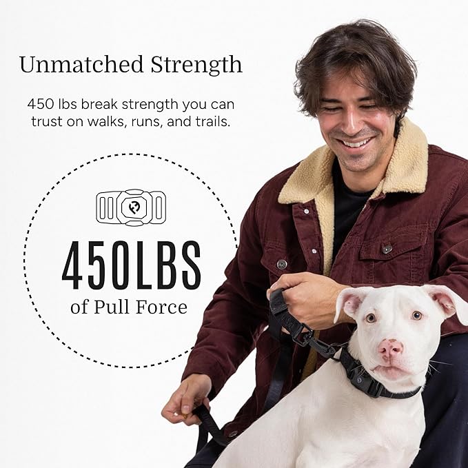 2025 New Edition, Fei & Eve MagEase Dog Collar - Patented Magnetic Buckles | Fur-Safe | Premium 210D Nylon | 450LB Escape-Proof | Adjustable Fit | Large (Black)