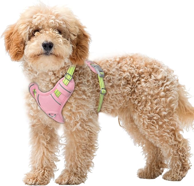 BARKBAY No Pull Dog Harness Large Reflective Dog Harness with Front Clip and Easy Control Handle for Walking Training Running with ID tag Pocket(Baby Pink & Sunlight,XS)