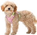 BARKBAY No Pull Dog Harness Large Reflective Dog Harness with Front Clip and Easy Control Handle for Walking Training Running with ID tag Pocket(Baby Pink & Sunlight,XS)