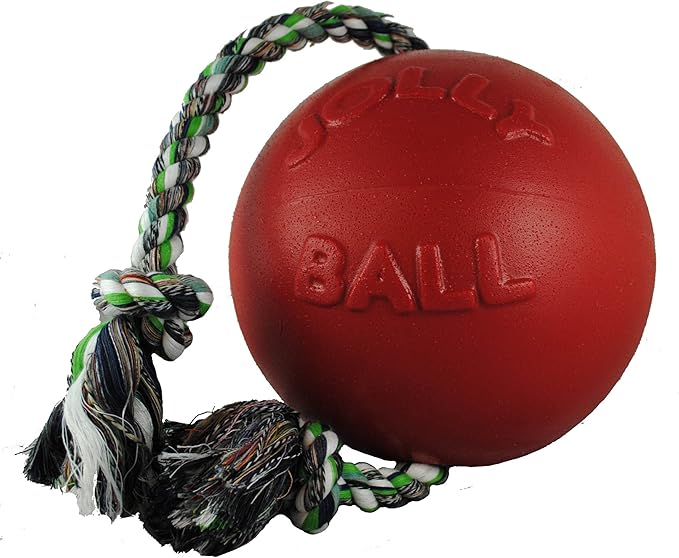Jolly Pets Romp-n-Roll Rope and Ball Dog Toy, 4.5 Inches/Small, Red