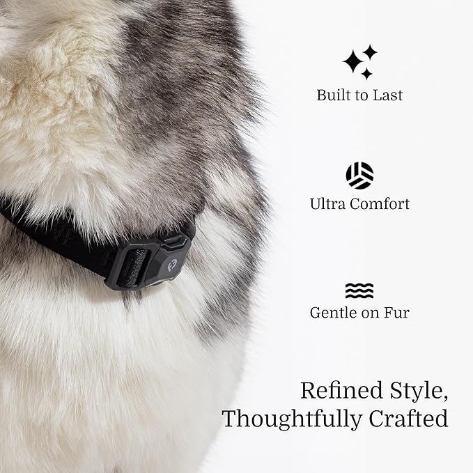 2025 New Edition, Fei & Eve MagEase Dog Collar - Patented Magnetic Buckles | Fur-Safe | Premium 210D Nylon | 450LB Escape-Proof | Adjustable Fit | Small (Black)