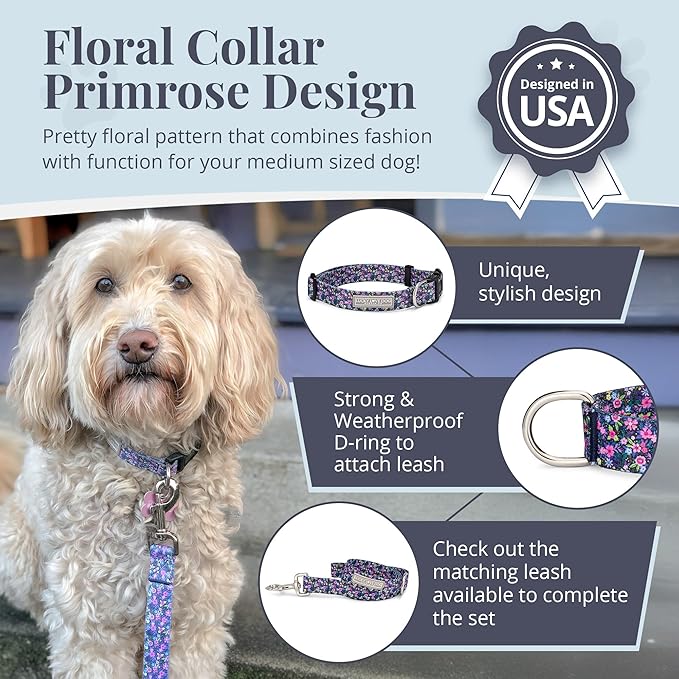 Lucky Love Dog, Comfortable, Soft, Cute Female Dog Collar for Medium Dogs, Black & Purple Floral Print, Adjustable Nylon Collar, Primrose, Medium