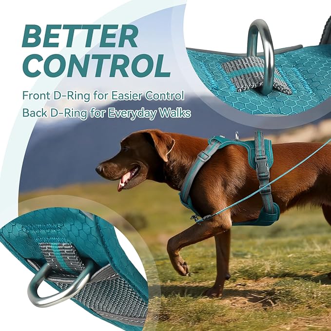 VIVAGLORY Dog Harness Easewalk No Pull Dog Harness with Handle & Front Back Clip for Training Lifting, Easy On Adjustable Padded No Pull for Pet & Puppy, S, Hunter Teal