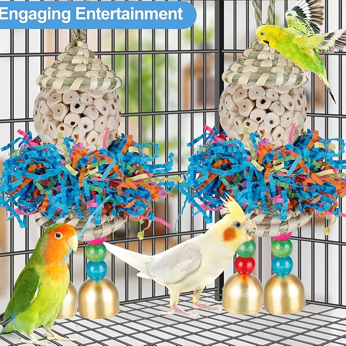 Conure Toys,2PCS Bird Toy Parrot Foraging Shredder Hanging Toys Sola Balls with Bell for Small Parrots Parakeets Cockatiel Conures Love Birds Budgie Cage Toy