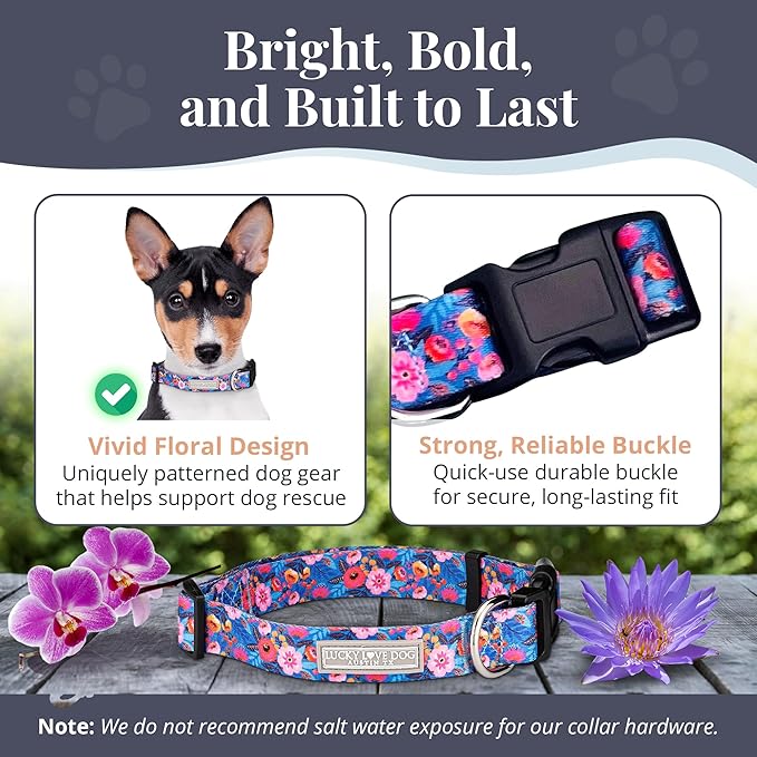 Lucky Love Dog - Adjustable Dog Collar with Easy Click Buckle for Small to Large Dogs, Durable, & Comfortable Collar for Male & Female Dogs, Pet Collar for Puppies & Adult Dogs - Zuzu, Small