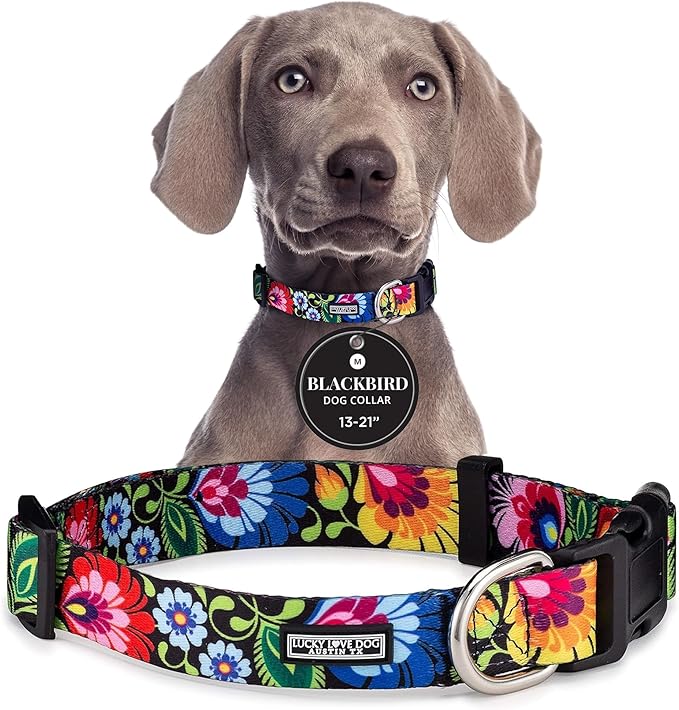 Lucky Love Dog - Adjustable Dog Collar with Easy Click Buckle for Small to Large Ones, Durable, & Comfortable for Male & Female Dogs, Pet Collar for Puppies & Adult Dogs - Blackbird, Medium