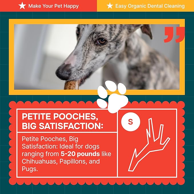 100% Natural - Split Antlers for Dogs ( 3pack ) - Naturally Shed in USA - Grade A Long Lasting Chew for Aggressive Chewers - Elk Antlers Dog Antler Chews - Treats & Toys - No Odor & No Mess - Small