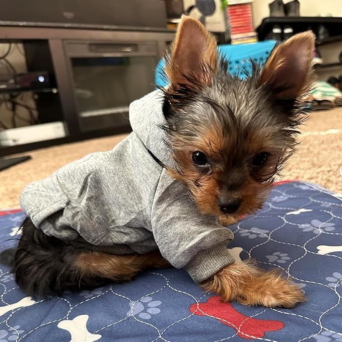 Jecikelon Winter Dog Hoodie Sweatshirts with Pockets Warm Dog Clothes for Small Dogs Chihuahua Coat Clothing Puppy Cat Custume (Grey, X-Small)