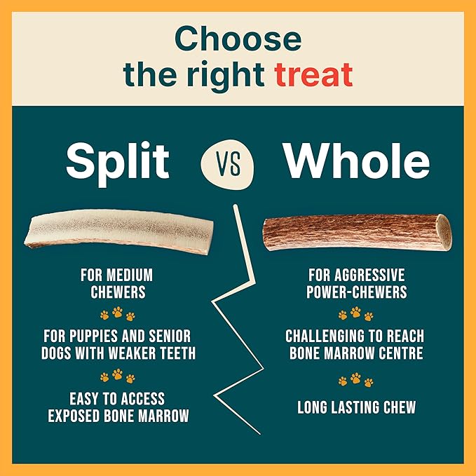100% Natural - Antlers for Dogs ( Split ) - Naturally Shed in USA - Grade A Long Lasting Chew for Aggressive Chewers - Elk Antlers Dog Antler Chews - Real, Treats & Toys - No Odor & No Mess - Small