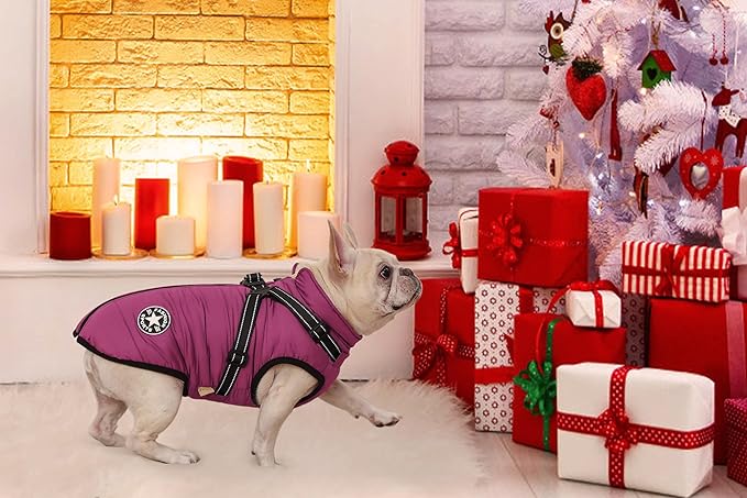 Aiboria Dog Jackets Coat for Winter Windproof Waterproof Fleece Vest Dog Jacket with Chest Strap Belt Purple XL