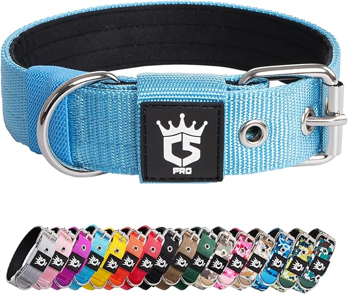 TSPRO Tactical Dog Collar 1.25 Inch Wide Thick Dog Collars with Heavy Duty Metal Buckle, Durable, Strong, Adjustable for Small Dogs (Blue S)