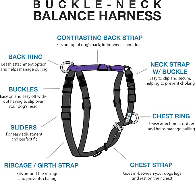 Blue-9 Balance Harness Buckle Neck, X-Small, Purple