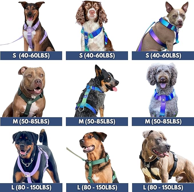 Spark Paws No Pull Dog Harness for Large Dogs, Heavy Duty Dog Harness for Big Strong Breeds, Adjustable, Y Shaped Padded Halter Design with Front Clip - Pastel Icing - L