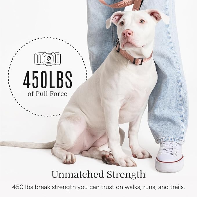 2025 New Edition, Fei & Eve MagEase Dog Collar - Patented Magnetic Buckles | Fur-Safe | Premium 210D Nylon | 450LB Escape-Proof | Adjustable Fit | Small (Blush)