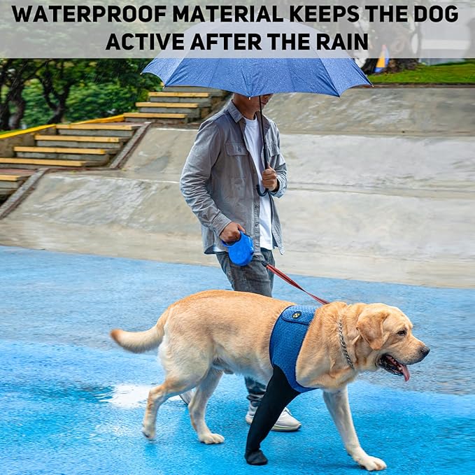 COODEO Dog Socks to Prevent Licking Paws, Healing Boots & Paw Protectors with Non-Slip Bottoms for Wound Protection, Waterproof Sleeve Shoes for Licking（Blue，2XL_Left