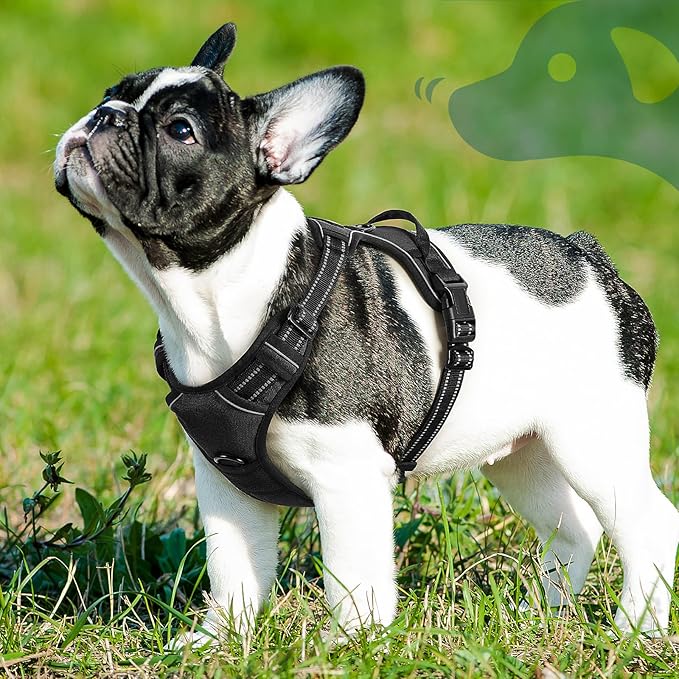 Eagloo Dog Harness Small Sized Dog, No Pull Service Vest with Reflective Strips and Control Handle, Adjustable and Comfortable for Walking, No Choke Pet Harness with 2 Metal Rings, Black, S
