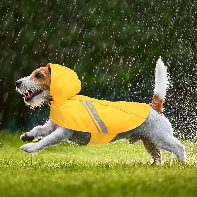 VIVAGLORY Wetoff Dog Raincoat, Rain Coat for Dog All Seasons Adventure, Rain Jacket with Harness Hole & Hood, Reflective Lightweight Waterproof for Doggy & Puppy, XS, Yellow