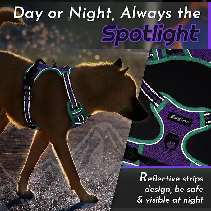 Eagloo Dog Harness Medium Sized Dogs, No Pull Service Vest with Reflective Strips and Control Handle, Adjustable and Comfortable for Walking, No Choke Harness with 2 Metal Rings, Purple & Green, M
