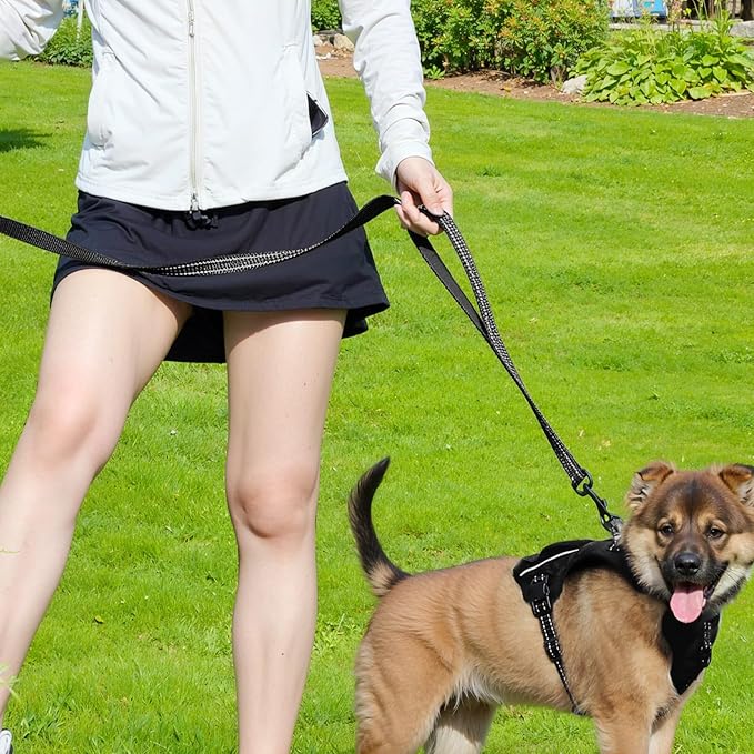 Dog Leash- 6 FT Leashes for Small to Large Dogs, Double Handle Dog Leash, Reflective Walking Training Lead (Dog Leash (Black), 6 FT Dog Leash)