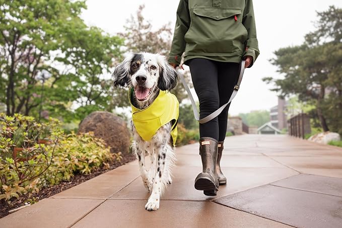 Goldpaw Rainpaw Waterproof Dog Raincoat - Durable Dog Rain Jacket for All Seasons - Easy to Wear, Adjustable, Premium Pet Outerwear - Made in The USA - Machine Washable - Red - Size 18