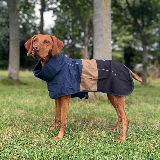 Spark Paws Dog Raincoat, Waterproof Windproof Rain Jacket, for Small Medium Large Extra Large Dogs, Reflective Breathable Full-Body Coverage Dry Suit - Blue Gold Black - 4XL